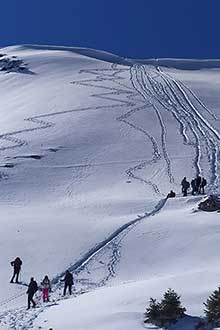 rando raquettes, guide montagne, alain sarda